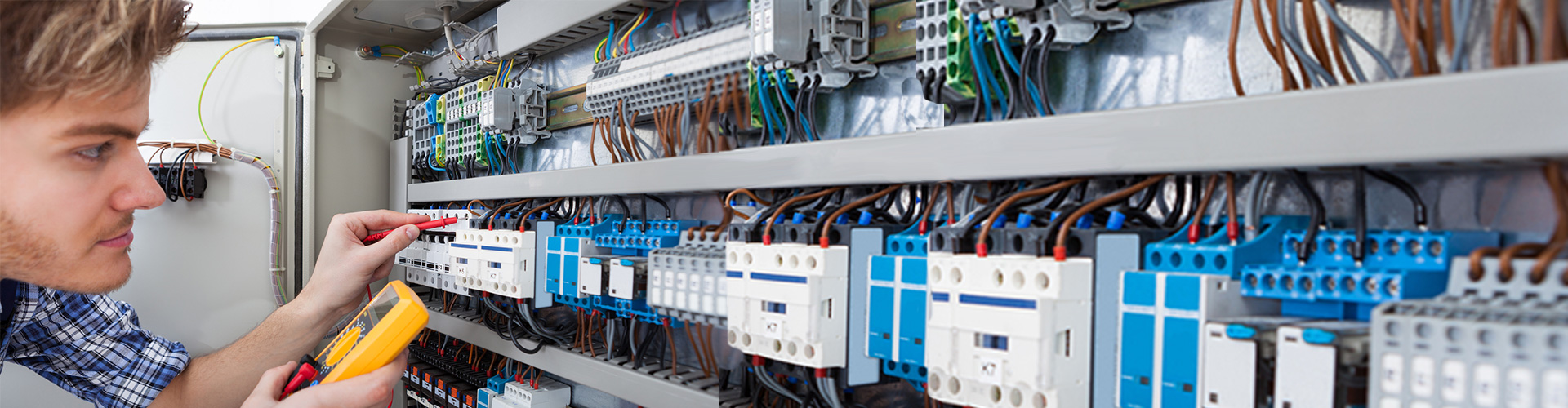 Electroalimentare