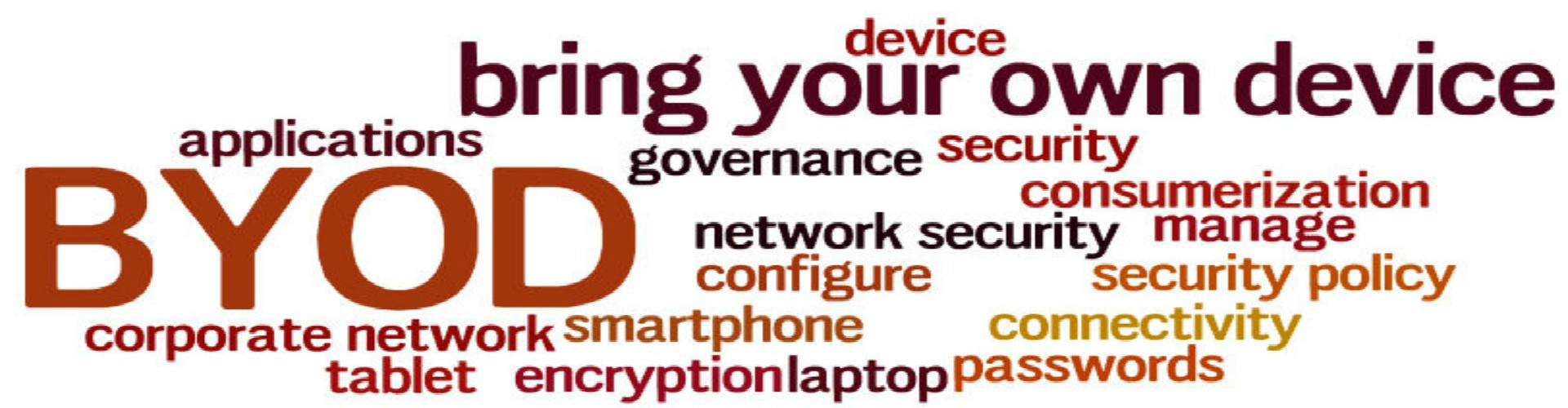 Bring Your Own Device (BYOD)